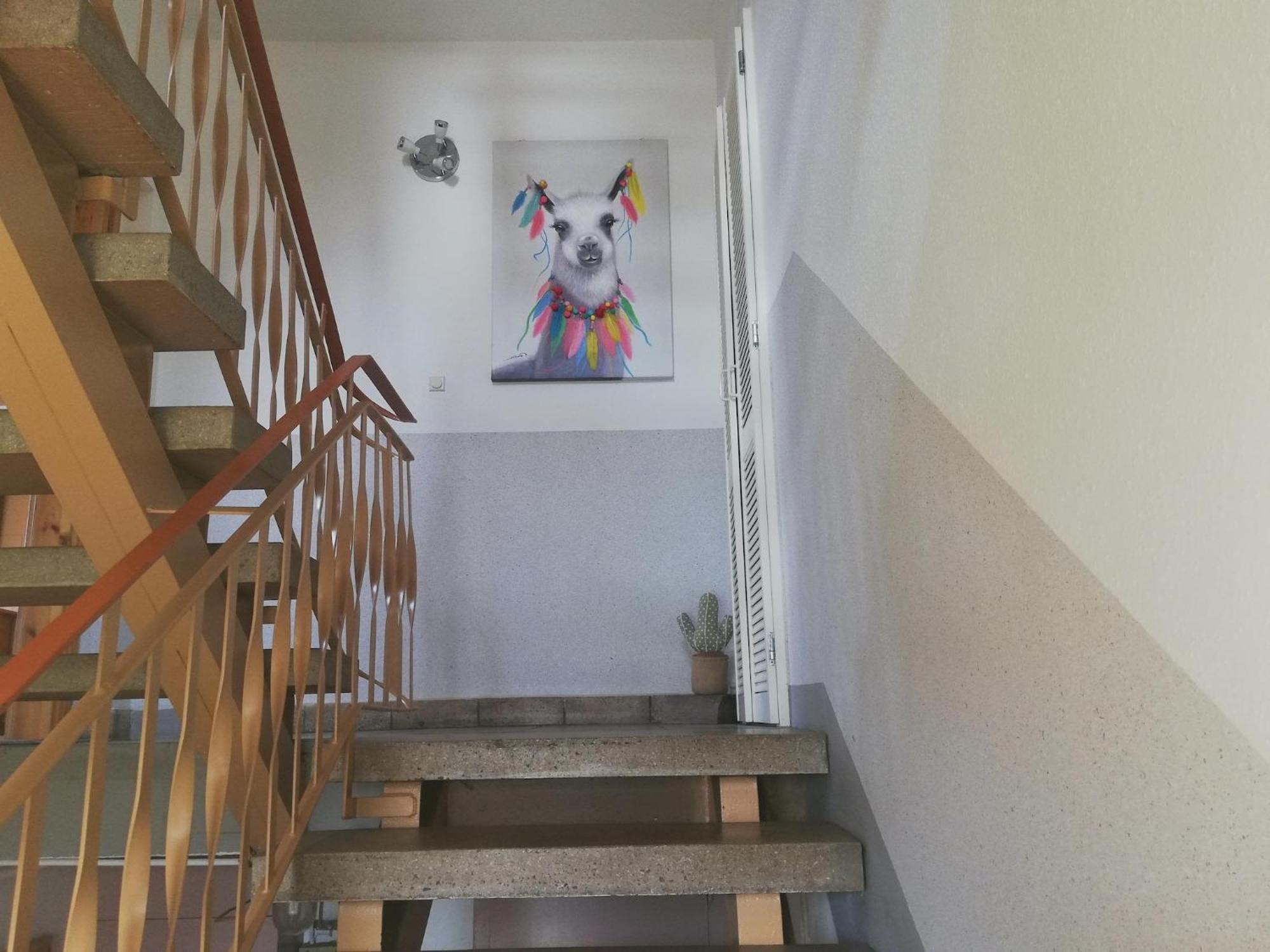 Apartment With Panoramic View Brotterode Eksteriør billede