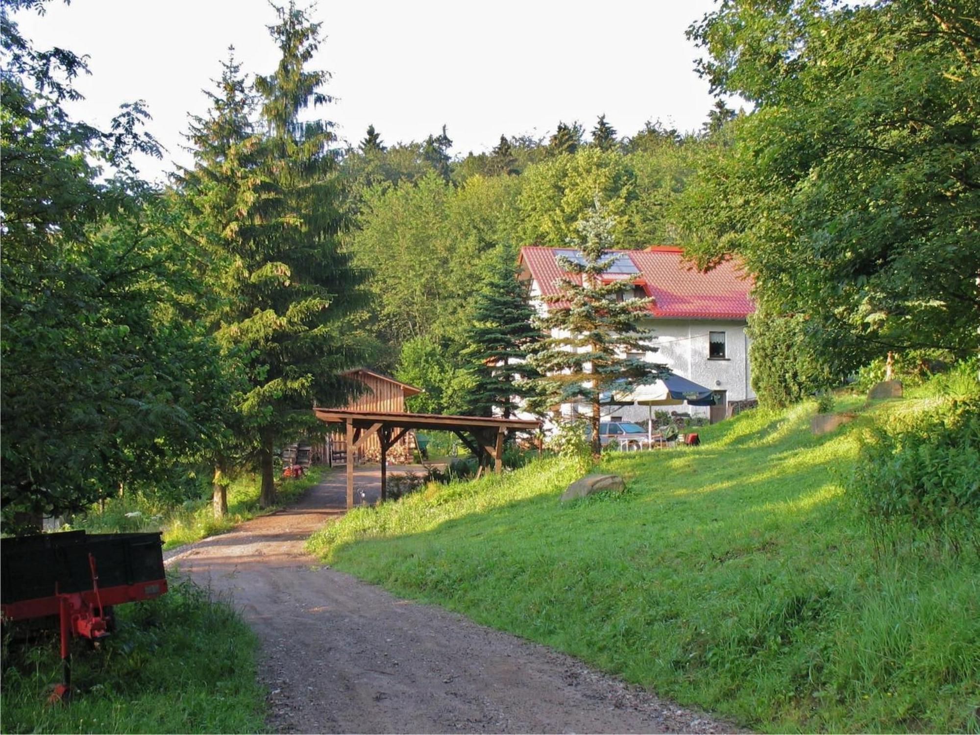 Apartment With Panoramic View Brotterode Eksteriør billede